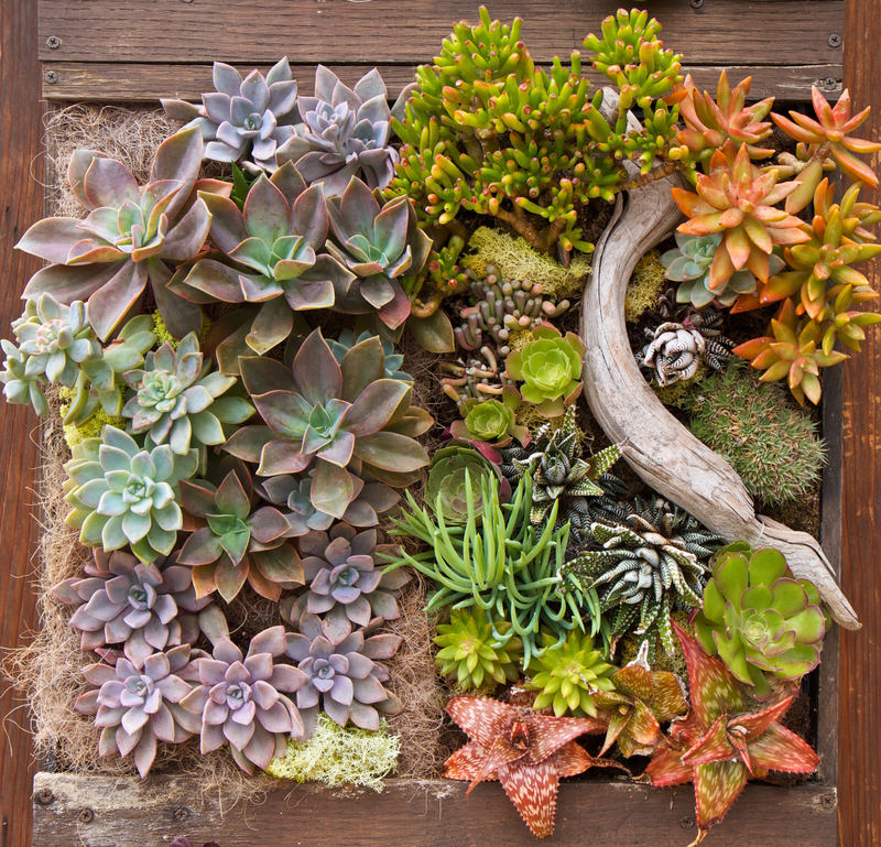 professional gardeners Garden