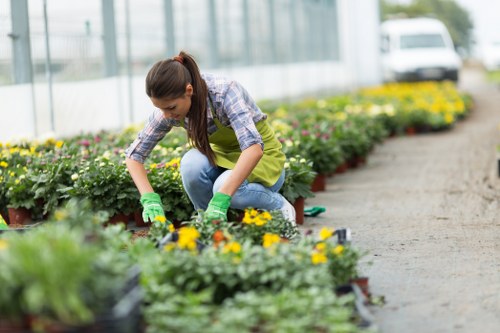 Gardeners Grove Park landscape care and welcoming green space