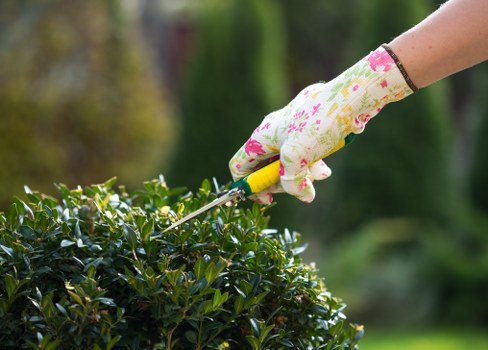 Annual review of modern slavery controls at Gardeners Grove Park
