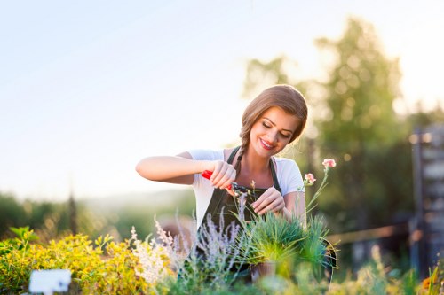 Landscape gardening in Grove Park with structured planting and patio design