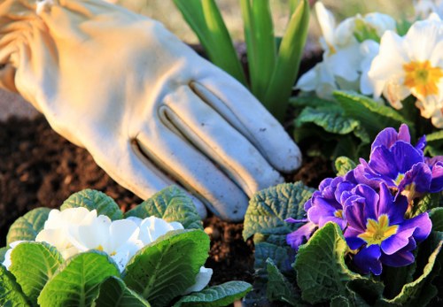 Seasonal planting scheme for landscape gardening in Grove Park