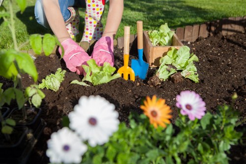 Professional lawn care service improving turf health in Grove Park