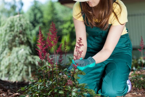 Screen-reader friendly Gardeners Grove Park accessibility content