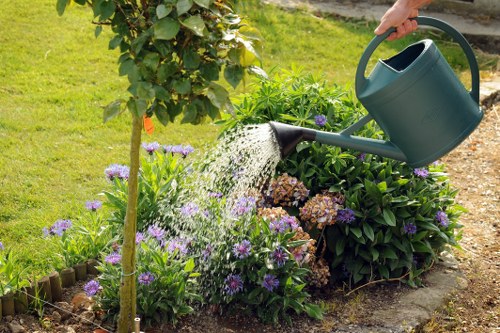 Regular hedge trimming in Grove Park improving safety, privacy, and curb appeal