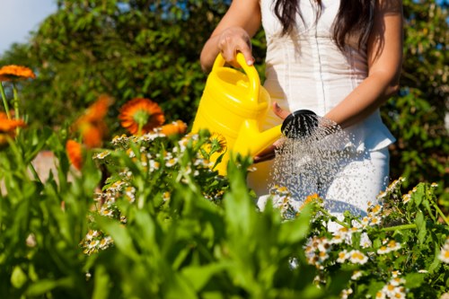 Careful hedge maintenance for evergreen and decorative hedges in Grove Park