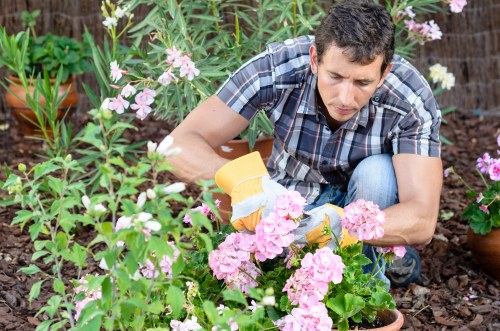 Garden maintenance terms explained for customers