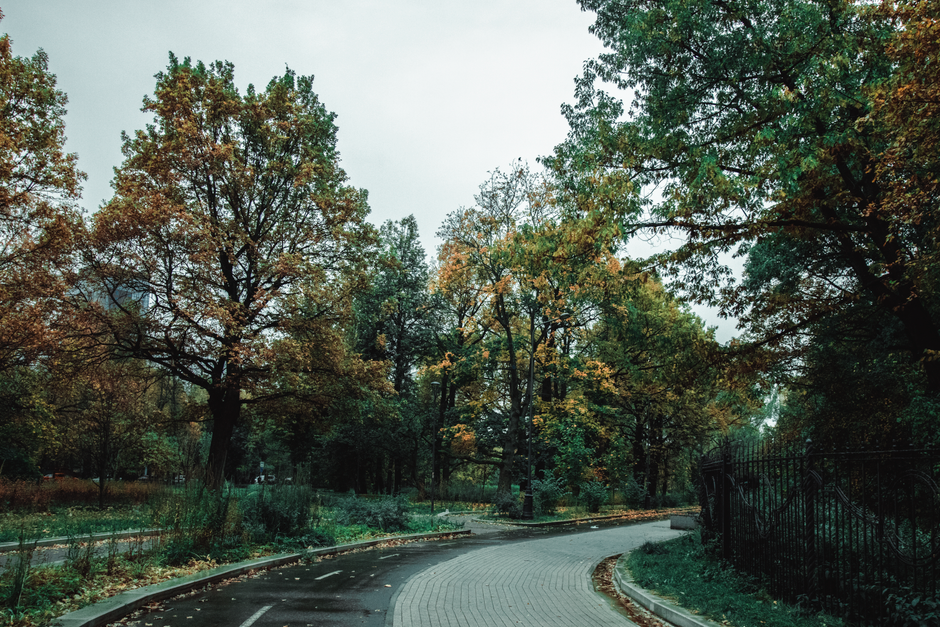 A winding paved pathway in a lush garden setting surrounded by tall trees with dense foliage in various shades of green, brown, and yellow indicating early autumn. Wet soil and fallen leaves are visib