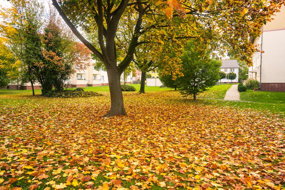 A winding paved pathway in a lush garden setting surrounded by tall trees with dense foliage in various shades of green, brown, and yellow indicating early autumn. Wet soil and fallen leaves are visib