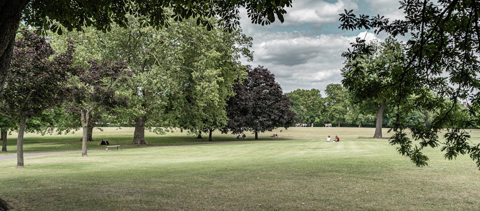 A spacious urban park with a well-maintained, lush green lawn bordered by various mature trees, including deciduous species with dense foliage in shades of green and dark purple. The grass appears nea