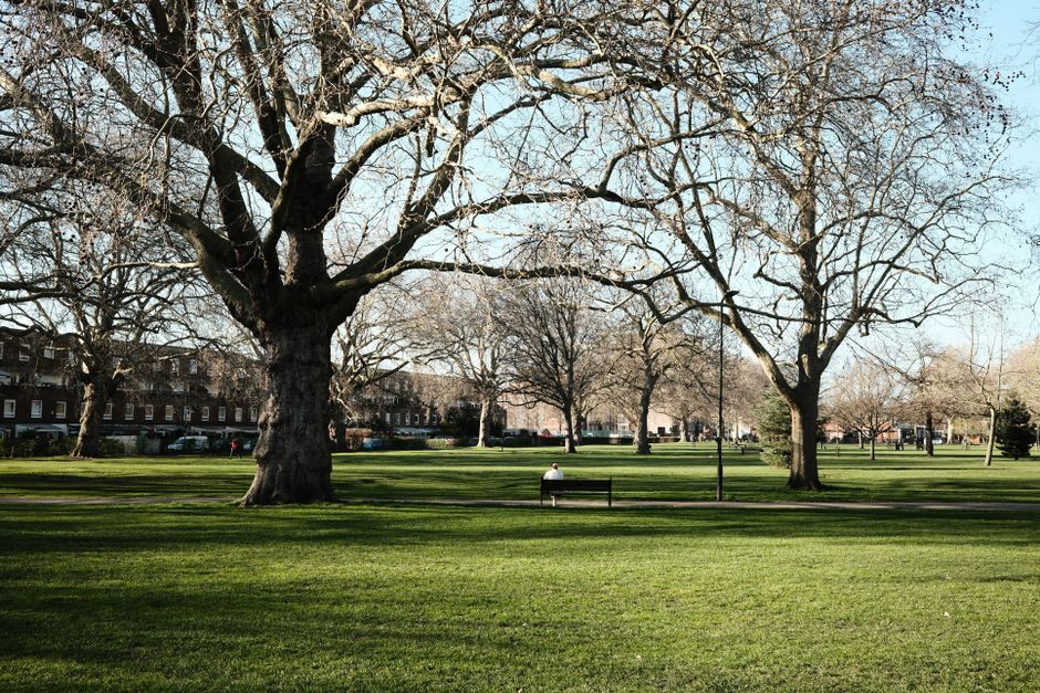 A spacious urban park with a well-maintained, lush green lawn bordered by various mature trees, including deciduous species with dense foliage in shades of green and dark purple. The grass appears nea